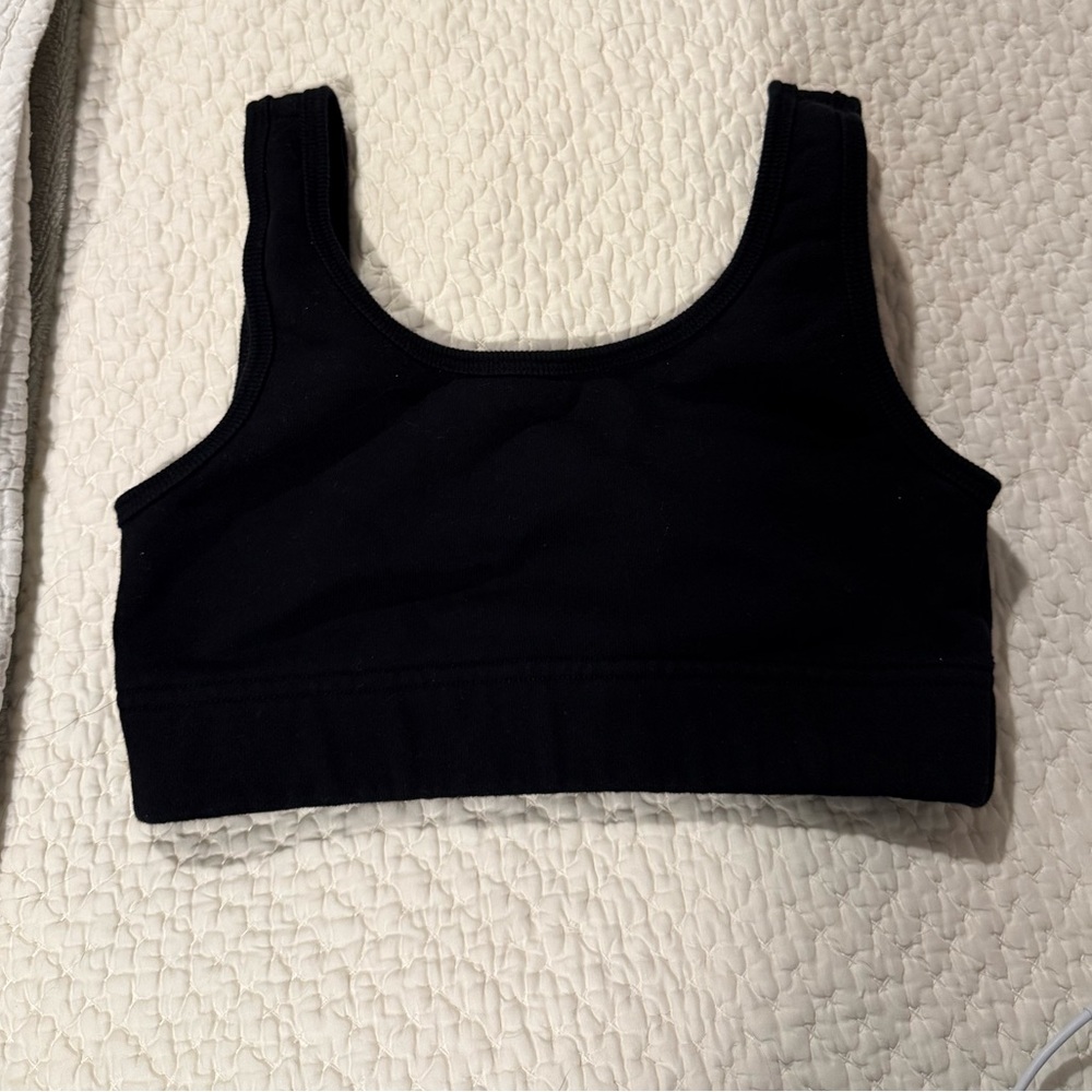 Aritzia sports Bra